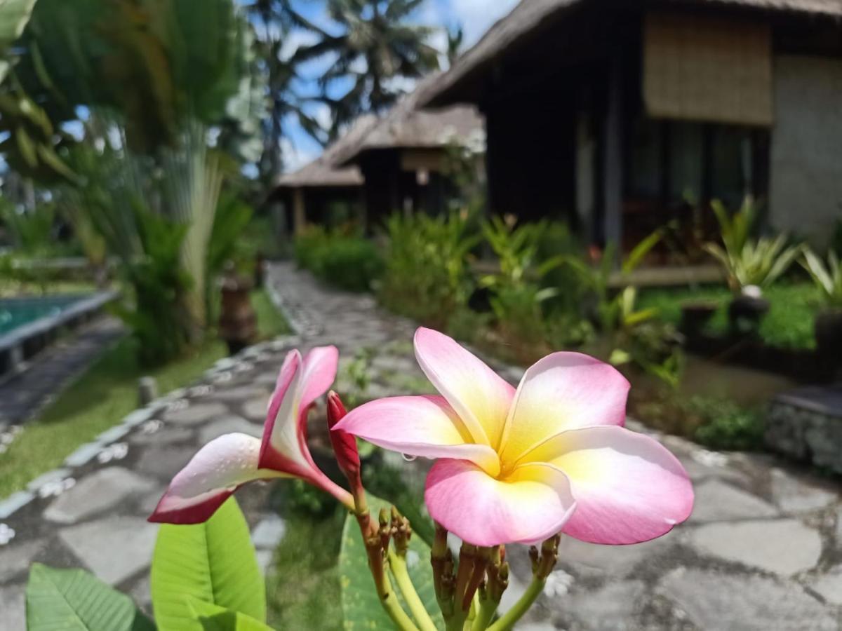 Taman Bintang Villa Ubud Eksteriør bilde
