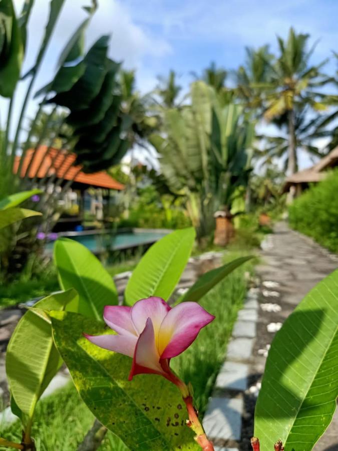 Taman Bintang Villa Ubud Eksteriør bilde