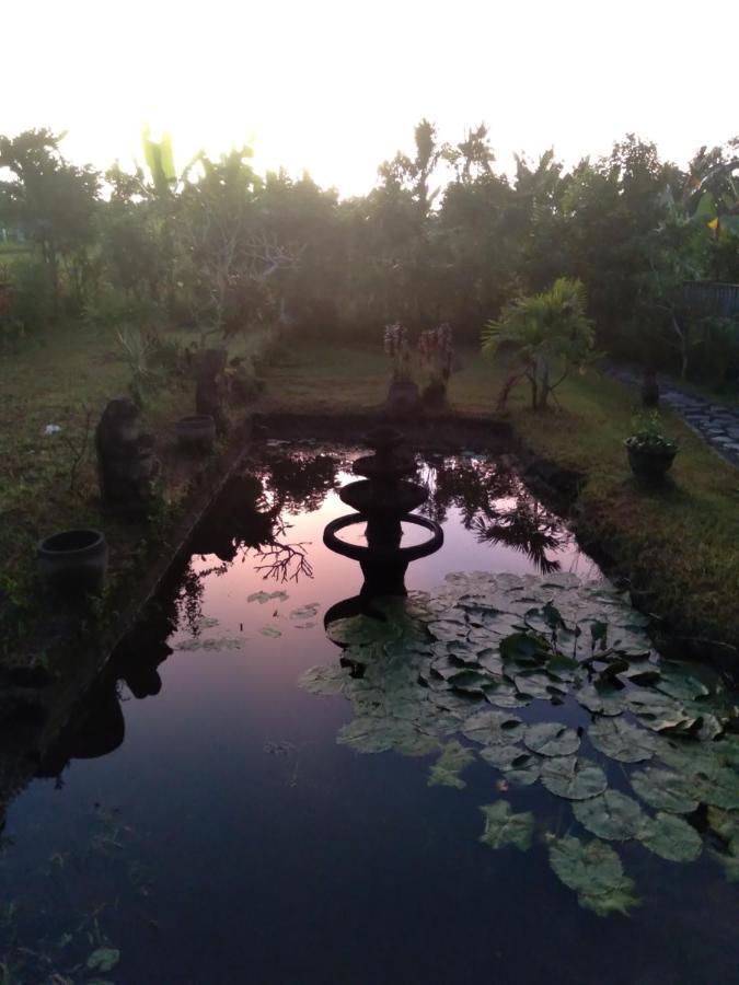 Taman Bintang Villa Ubud Eksteriør bilde