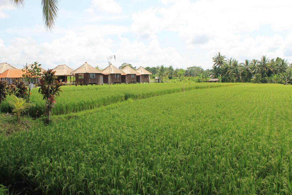 Taman Bintang Villa Ubud Eksteriør bilde